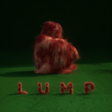 LUMP - LAURA MARLING - LUMP