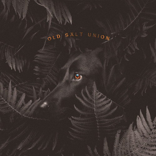 OLD SALT UNION - WHERE THE DOGS DON'T BITE