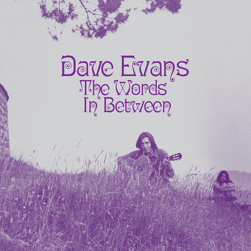 EVANS, DAVE - WORDS IN BETWEEN