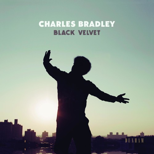 BRADLEY CHARLES - BLACK VELVET