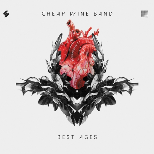 CHEAP WINE BAND - BEST AGES